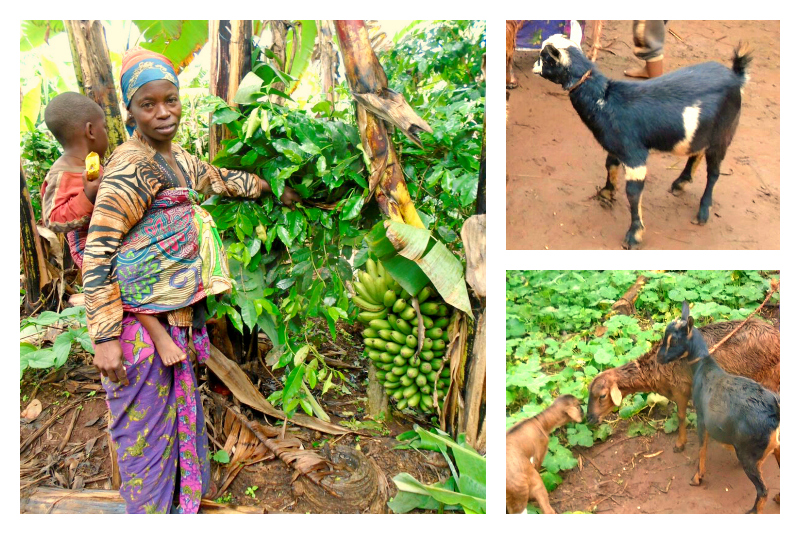 Women are raising goats and building a better life