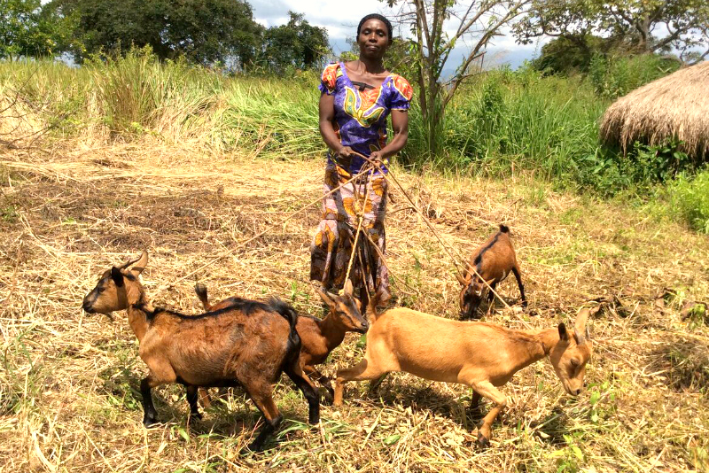 Women are raising goats and building a better life