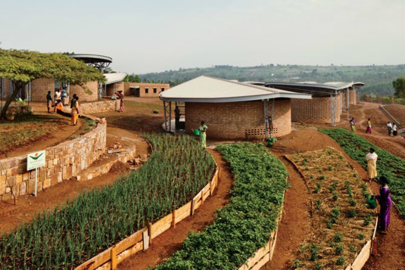 Program graduates in Rwanda grow vegetables for income at the Women's Opportunity Center