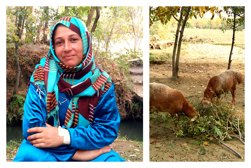 Women are raising goats and building a better life