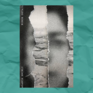 Minor Detail by Adania Shibli, Palestine