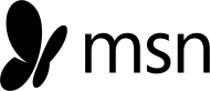 MSN news logo