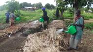 tree farms South Sudan