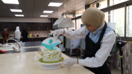 Palestine Programs