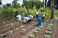 agriculture training site in Yei, South Sudan