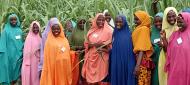 Participants at their sugarcane farm