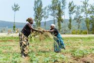 women farmers in Rwanda