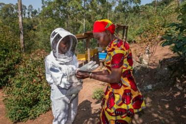 Caritas instructing bee keeper