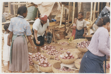 A group of women in Nigeria prepare to sell their onions and turnips at a local market