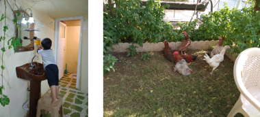 Image of Sazgar's son climbing up to reach the sink to wash his hands and another image of her chickens in their pen