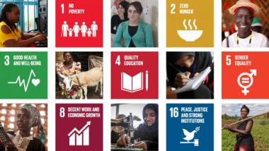 SDG graphic