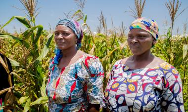 Women, corn field, Nigeria, slight smiles
