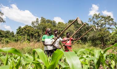 South Sudan - women hoeing in field