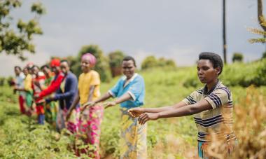 Rwanda Agriculture 