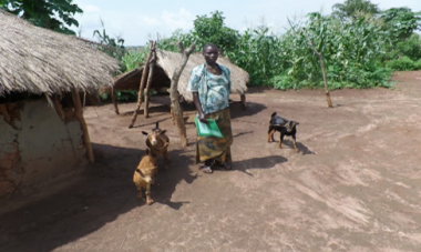 woman standing with goats 