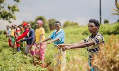 These women are participants of Women for Women International's core program and part of a cooperative formed by Women for Women International. The coop has rented a piece of land for 400K Rwandan francs (about $460)/ year and are able to turn a profit by growing onions. They harvest a ton of onions per harvest and sell it for 1,200 Rwandan francs per kilo, earning about 1,200,000 francs (about $1375). In addition to this plot of land where they plant onions, the coop has rented other plots where they are g