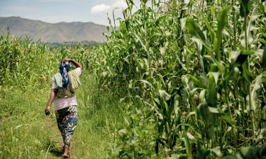 DRC Land