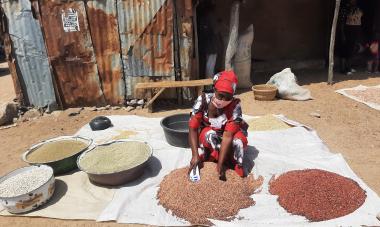 Polum selling grains