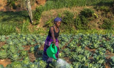 Rwanda farming