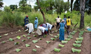 agriculture training site in Yei, South Sudan