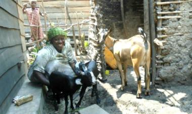 woman and child with goats 