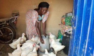 woman feeding chickens