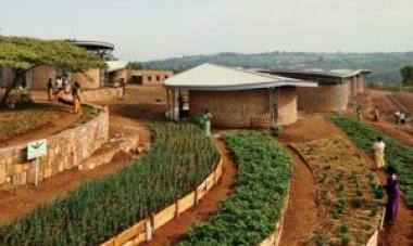 three circular brick buildings and rows of plants