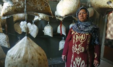 Afghanistan - woman standing next to mushrooms 