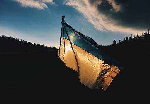 Ukrainian Flag